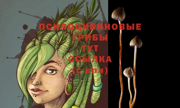 МДПВ Абинск