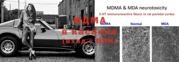мяу мяу мука Алексин
