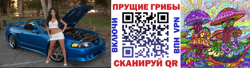 Галлюциногенные грибы мухоморы Новоульяновск