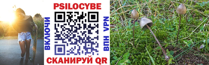 ссылка на мегу ТОР  Новоульяновск  Галлюциногенные грибы Psilocybe 